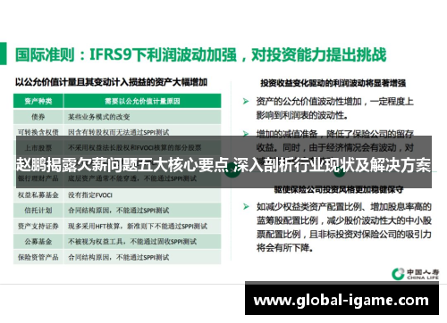 赵鹏揭露欠薪问题五大核心要点 深入剖析行业现状及解决方案