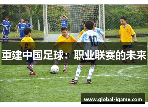 重建中国足球：职业联赛的未来