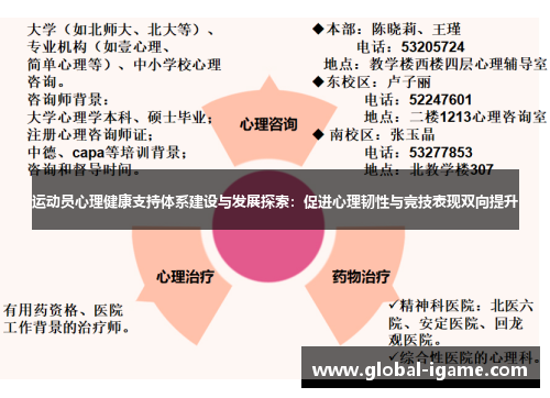 运动员心理健康支持体系建设与发展探索：促进心理韧性与竞技表现双向提升
