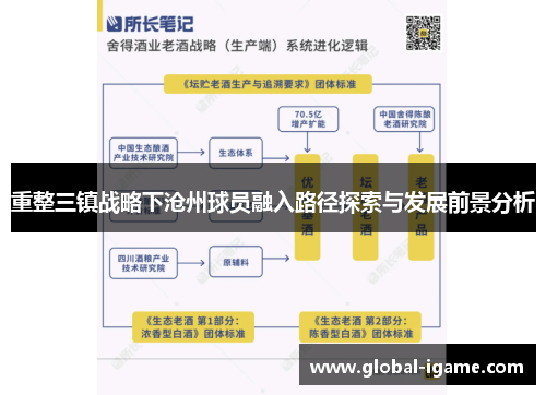 重整三镇战略下沧州球员融入路径探索与发展前景分析 重整三镇战略下沧州球员融入路径探索与发展前景分析